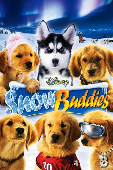 Snow Buddies